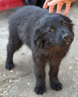 Frieda, neues Foto Juni 2026