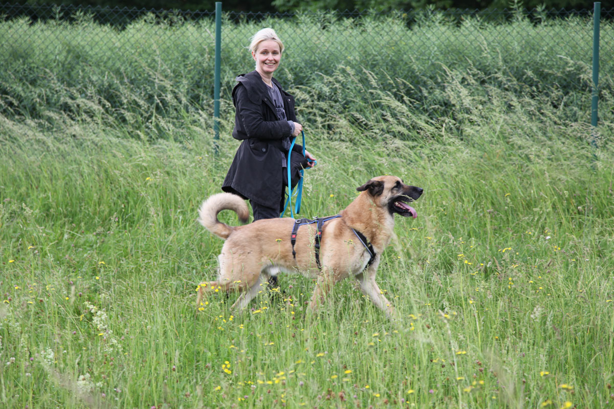 neues Foto Mai 2026: Harway bei den Trainertagen