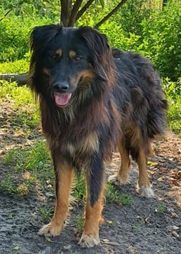 neues Foto Juni 2026