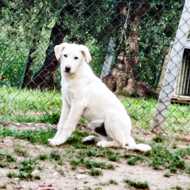 Blacky, neues Foto Juni 2026