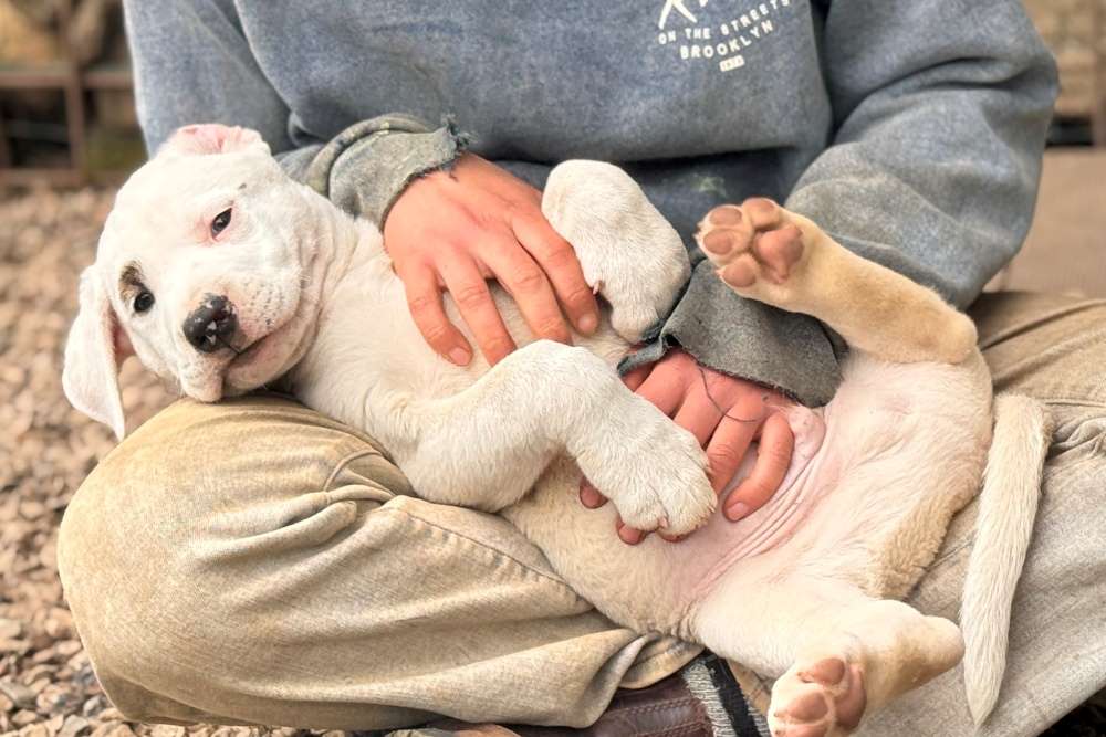 Darius, neues Foto Juni 2026