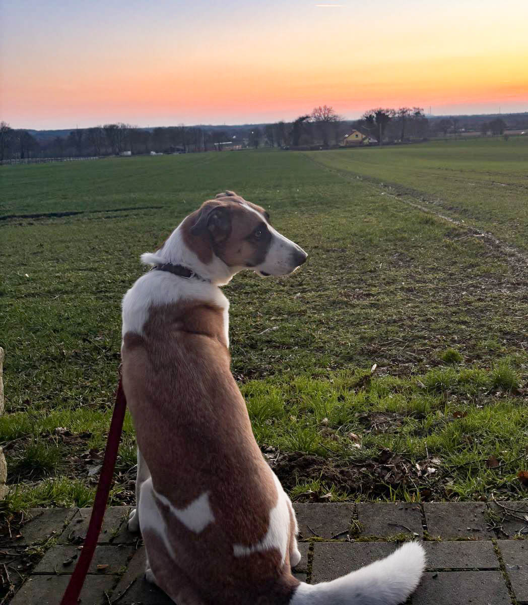 neues Foto Juni 2026