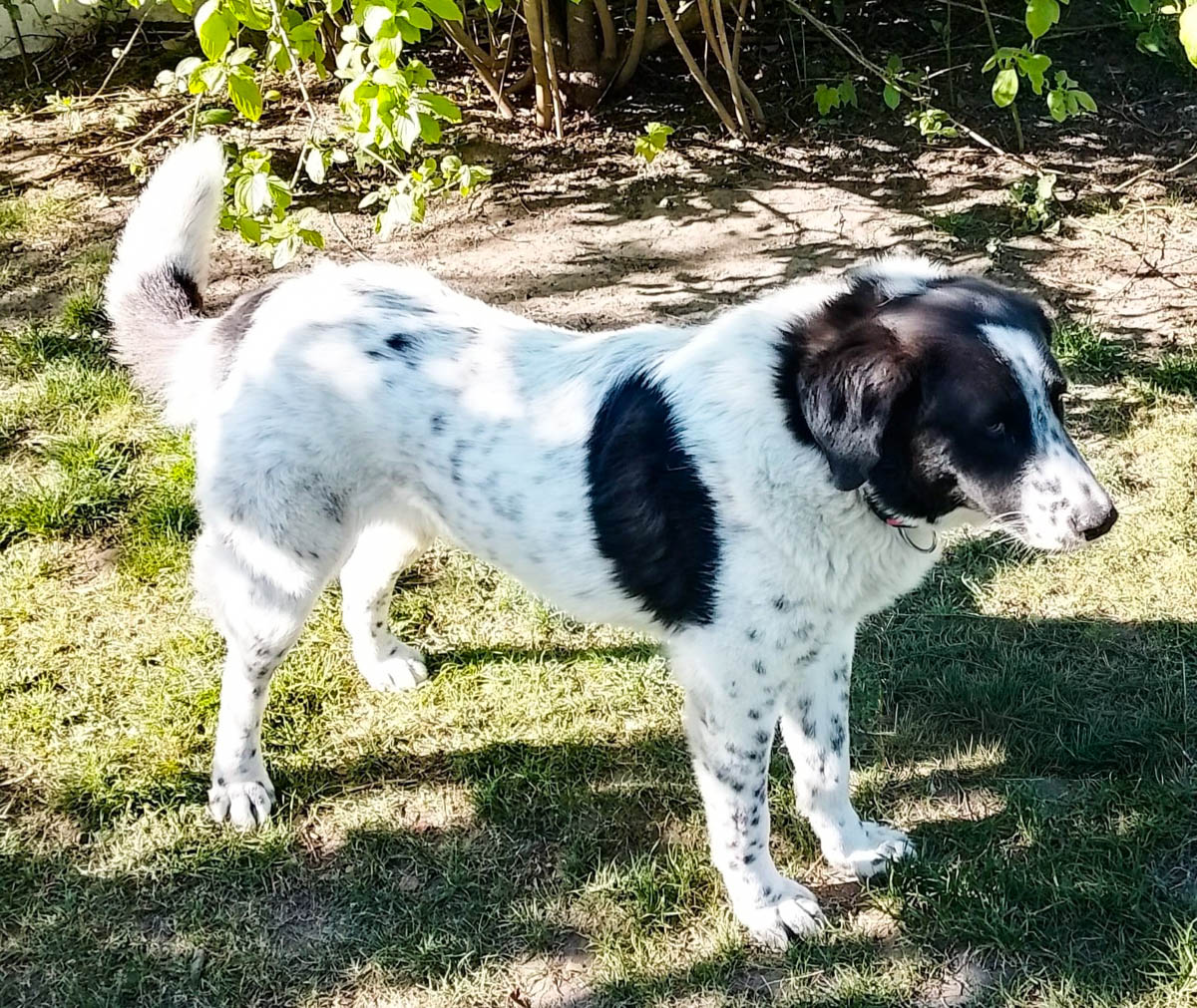 Hera, neues Foto Juni 2026