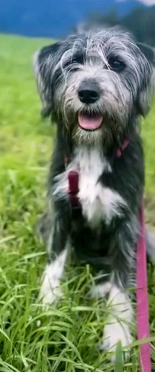 neues Foto Juli 2026
