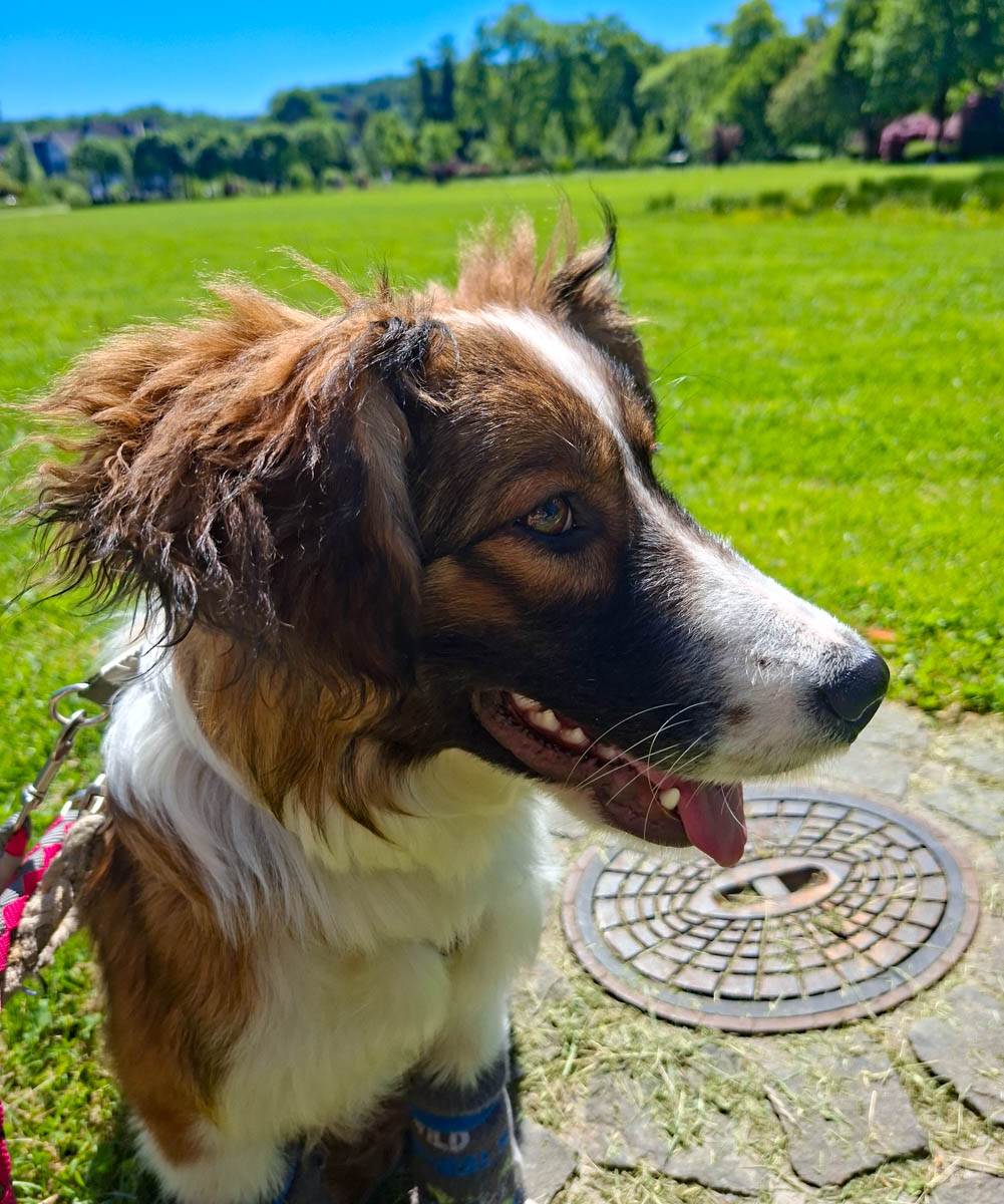 neues Foto Juli 2026