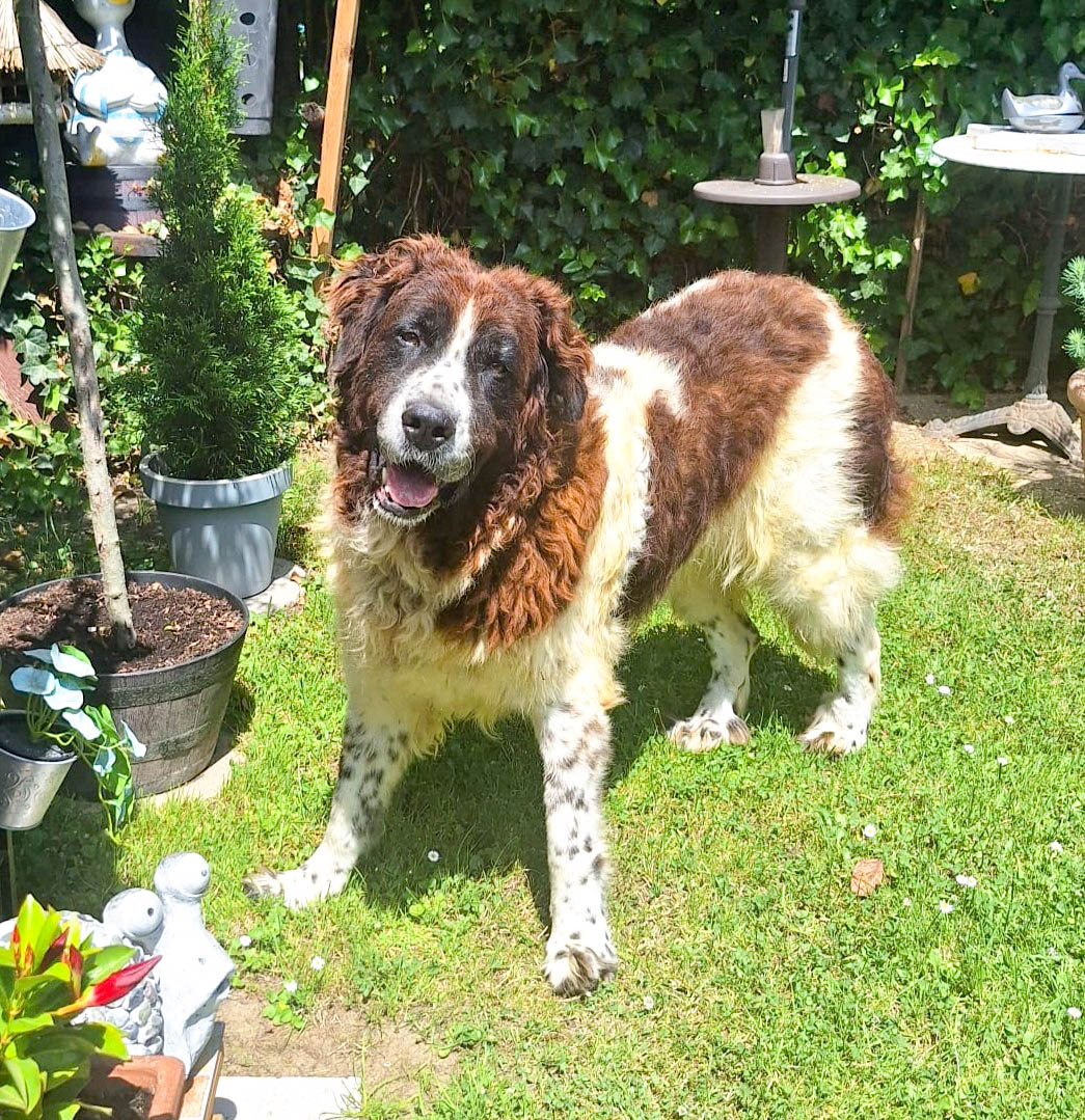 neues Foto Juli 2026