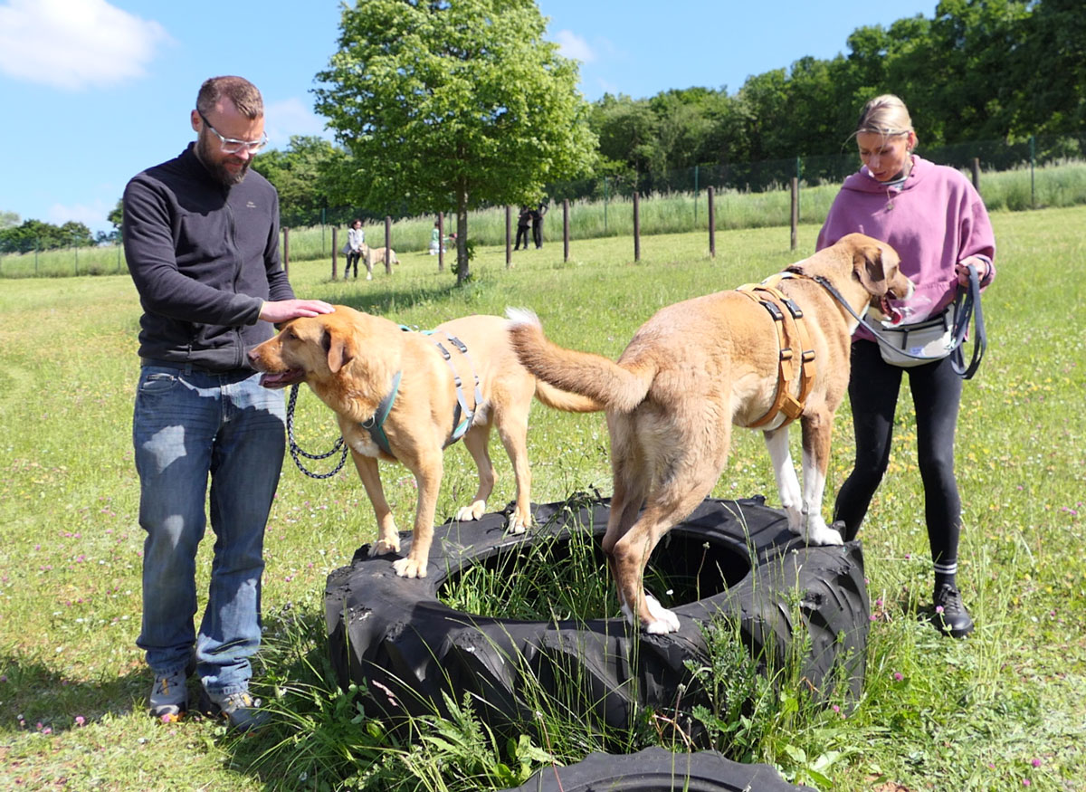 Dembe beim Training