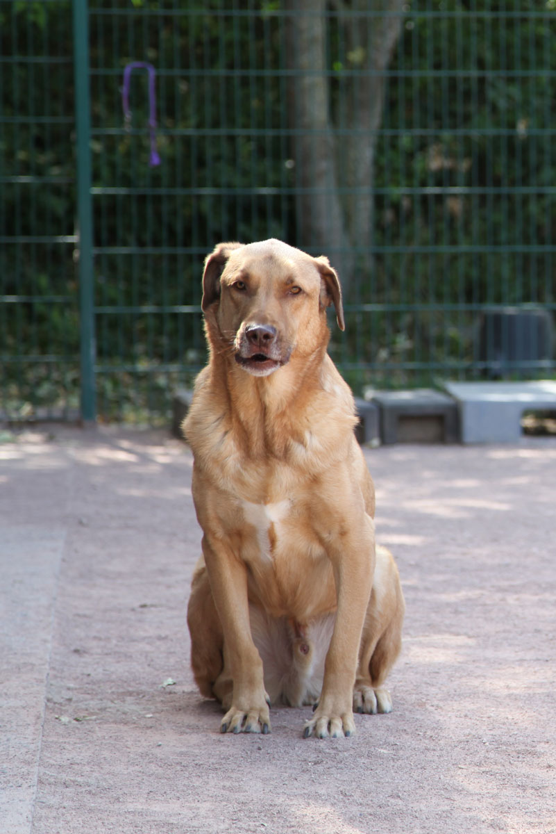 neues Foto Juli 2026