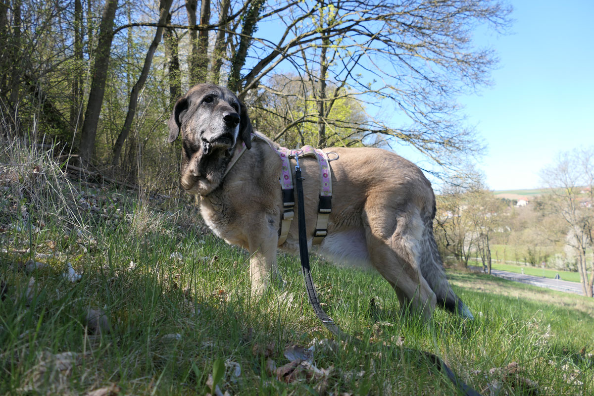 neues foto Juli 2026