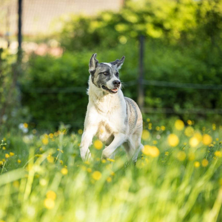 neues Foto Juli 2026