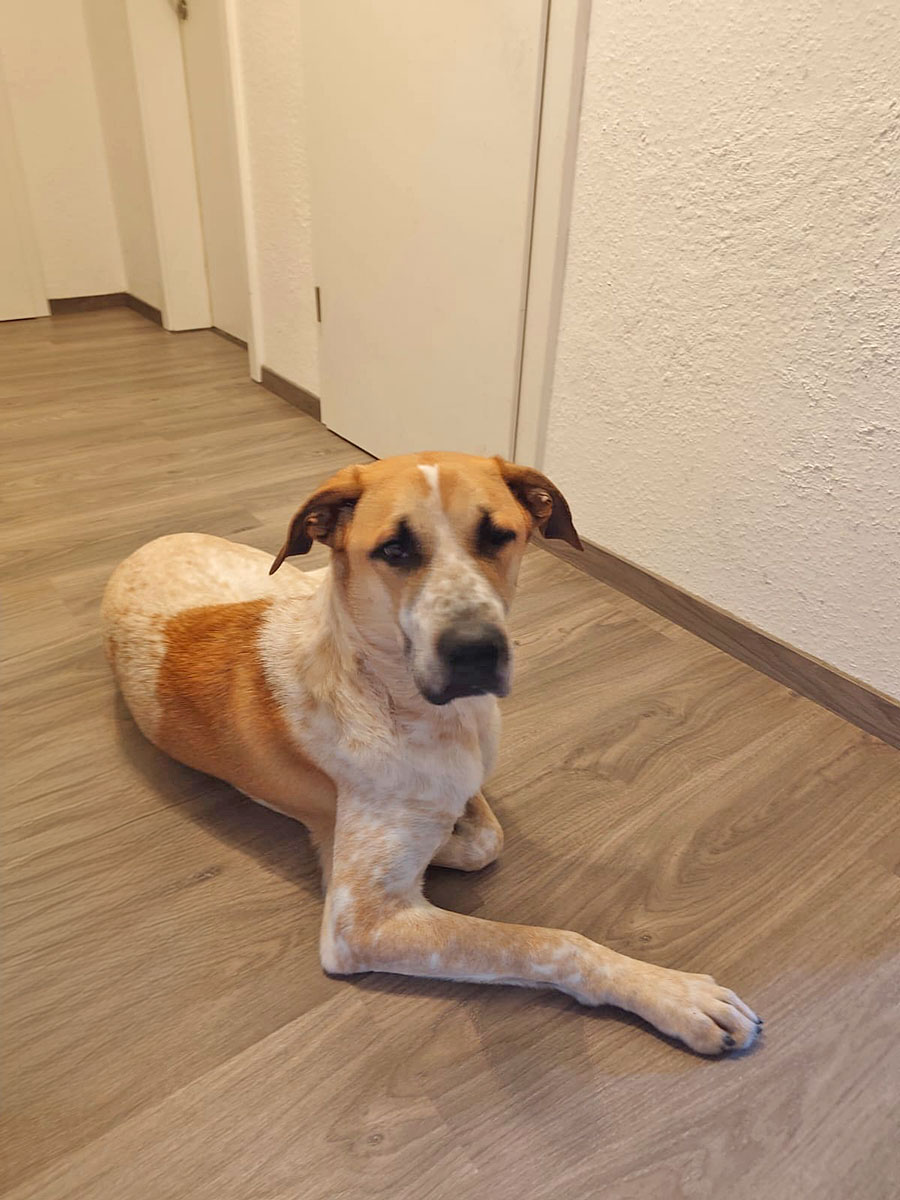 neues Foto Juli 2026