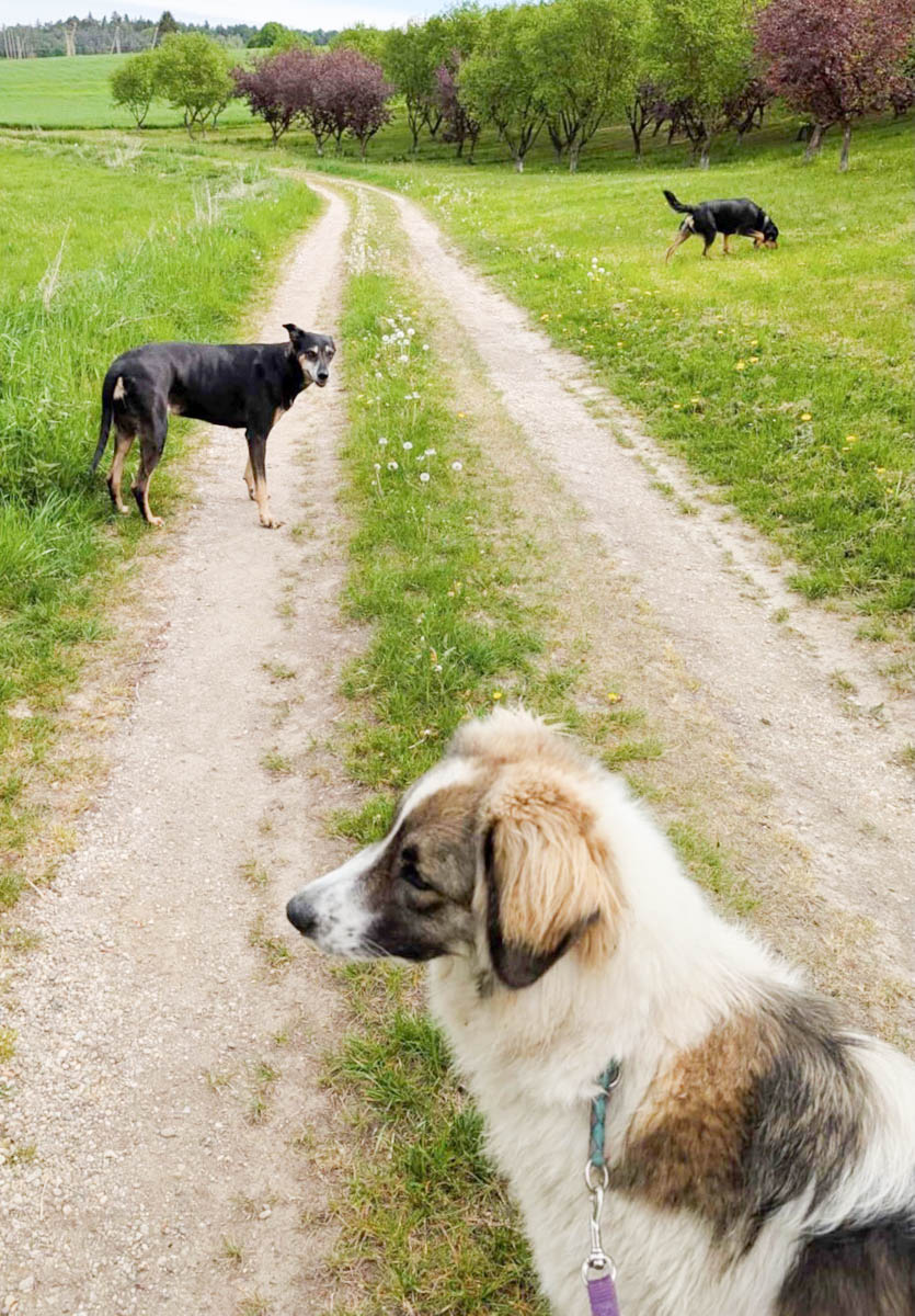 neues Foto Juli 2026