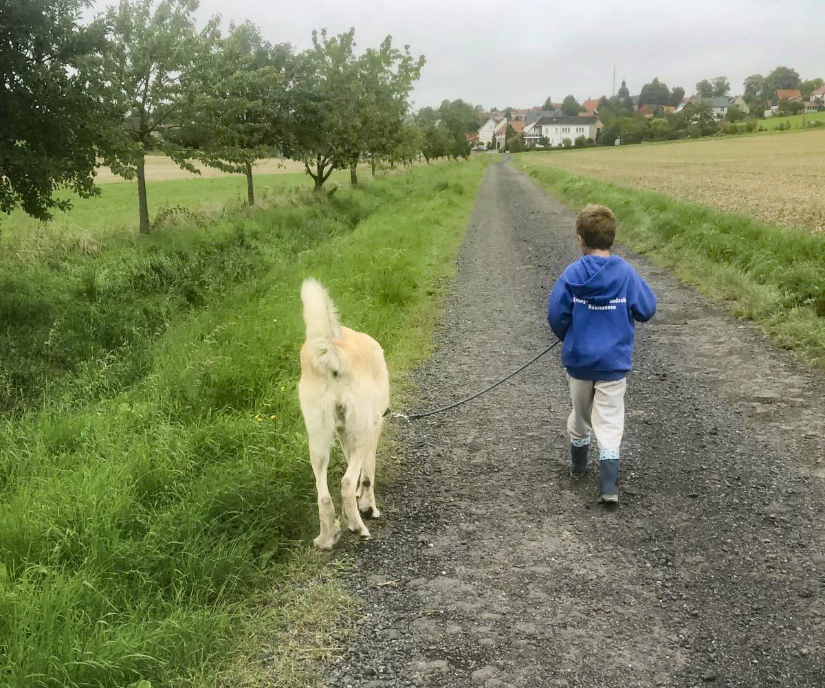 neues Foto Juli 2026