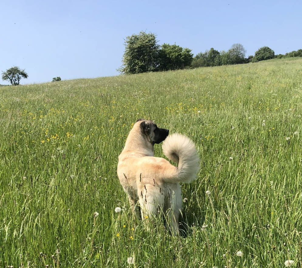 neues Foto Juli 2026