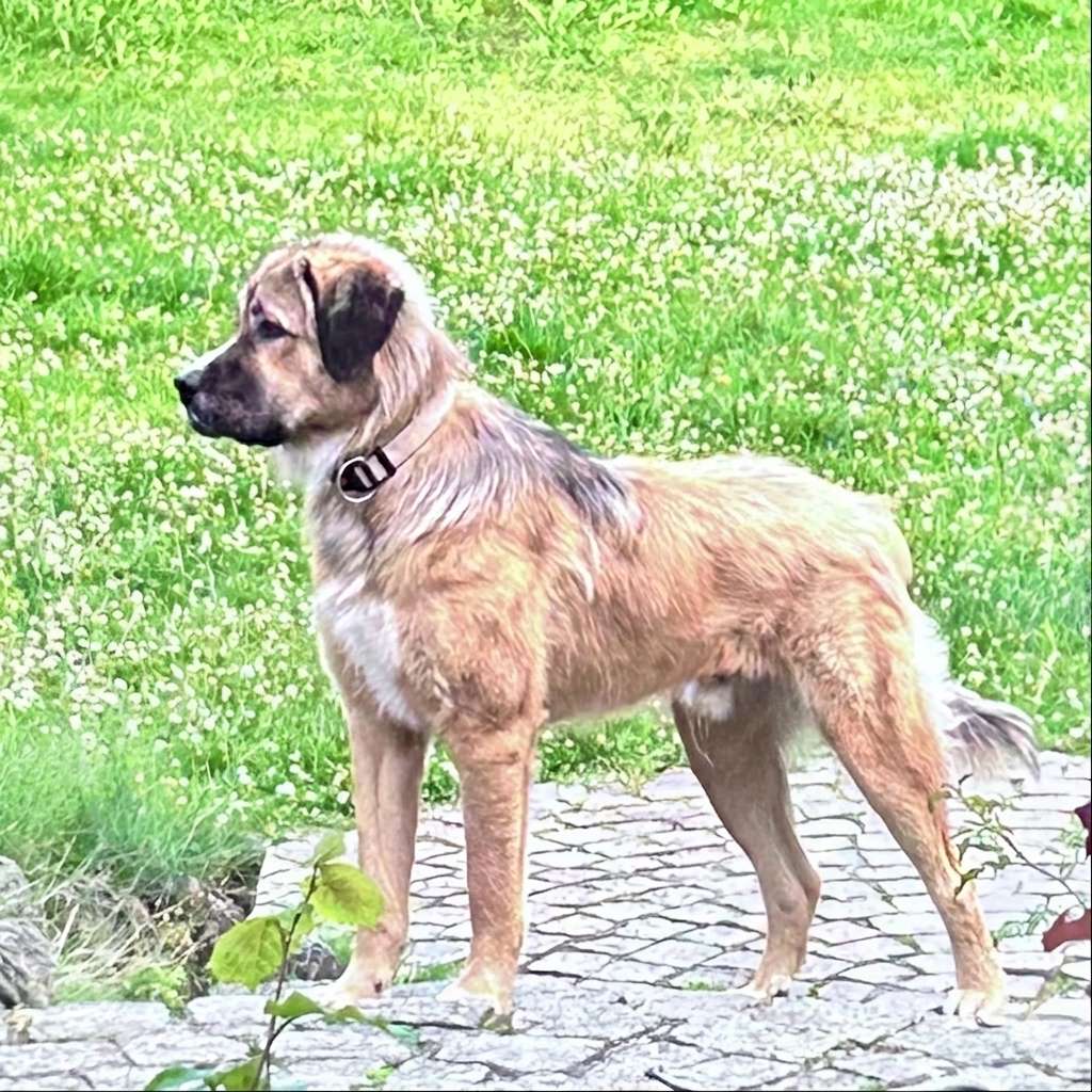 neues Foto Juli 2026