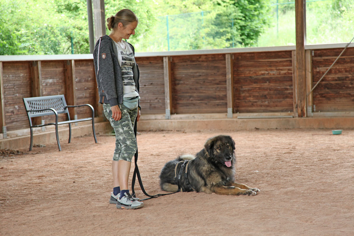 Hopo bei den Trainertagen