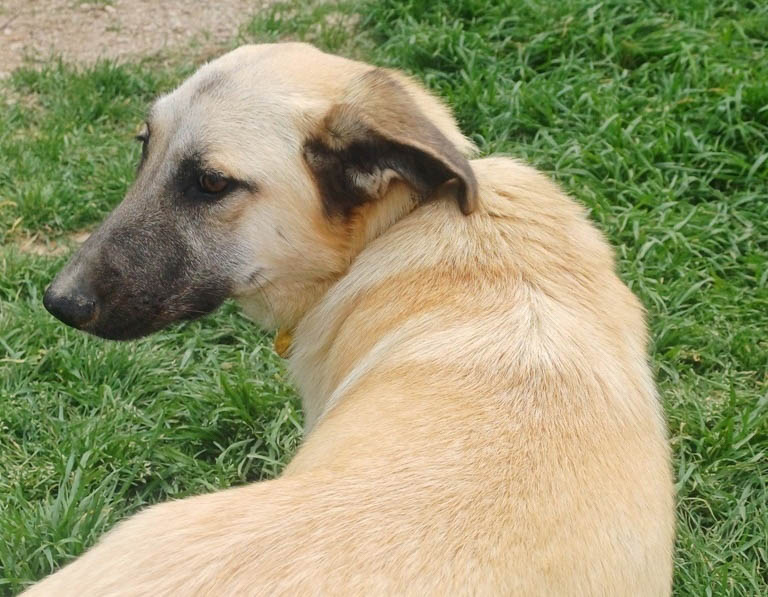 Maya, neues Foto August