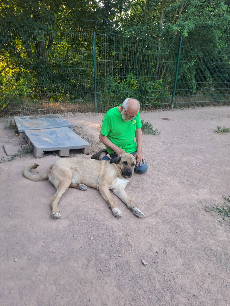 neues Foto August 2026
