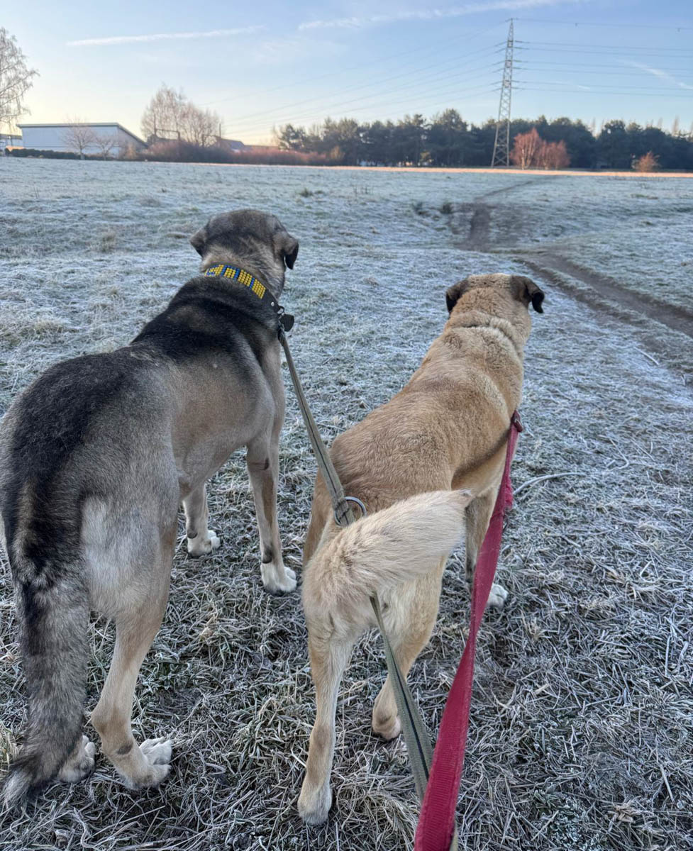 neues Foto August 2026