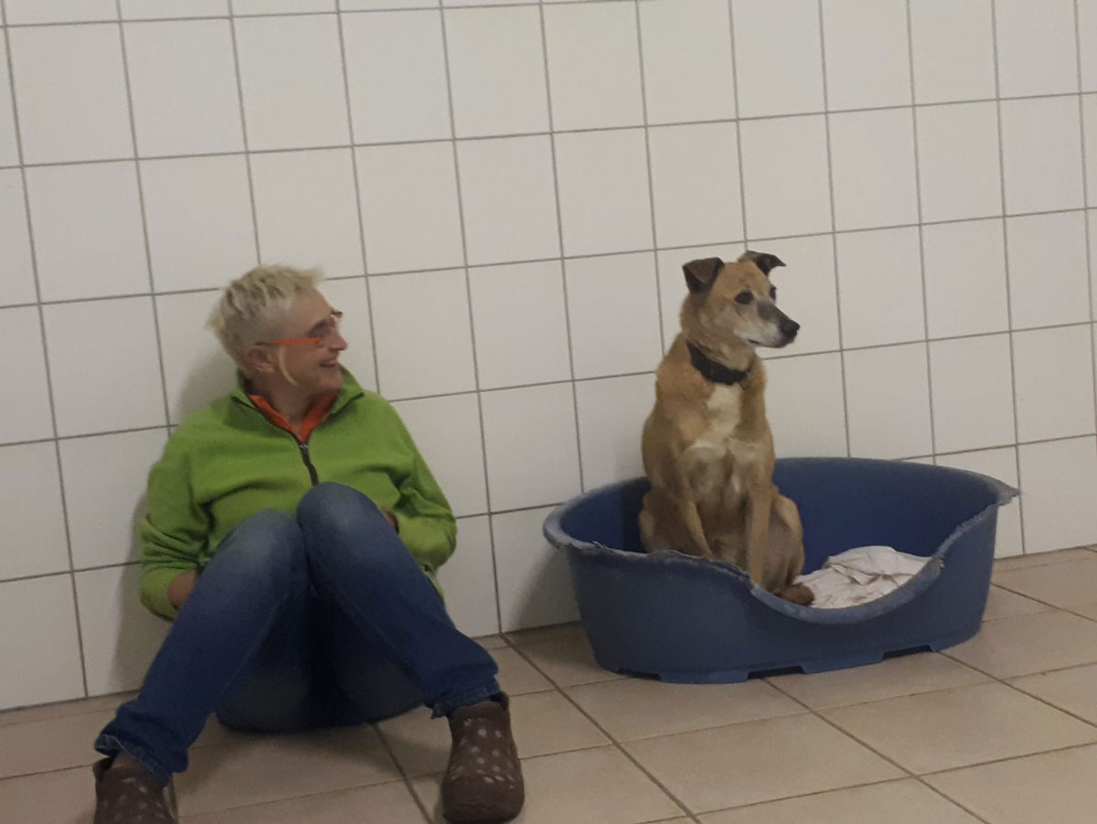 Sala bei Ihrer Ankunft