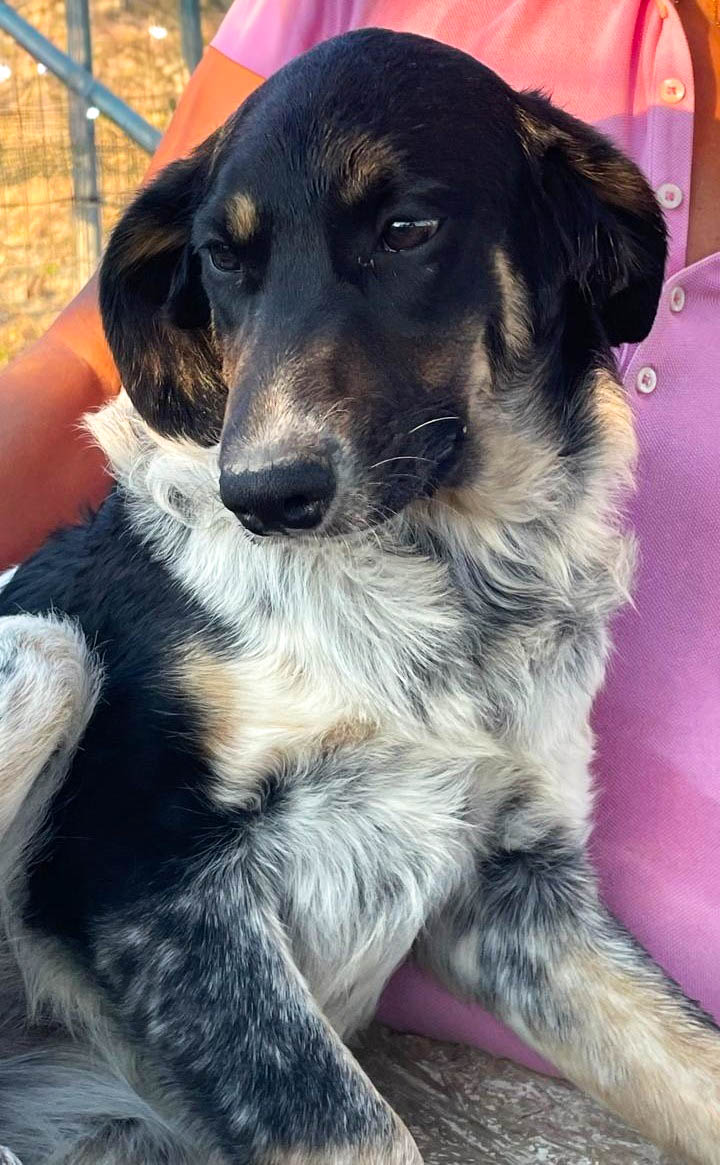 Adora, neues Foto August 2026