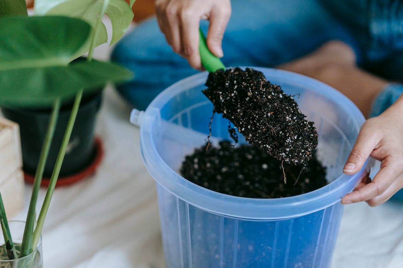 A Renter’s Guide to Composting at Home