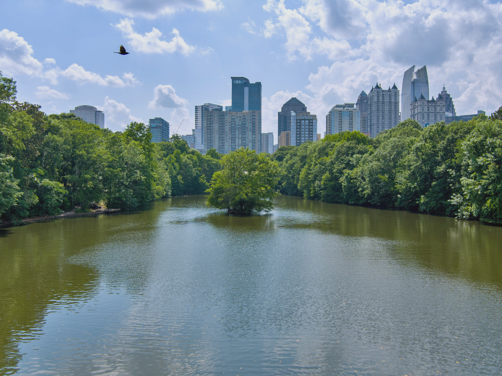 Top Outdoor Activities Near Atlanta for the Spring