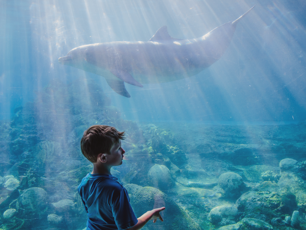 Summer Activities and Events in Orlando, Florida