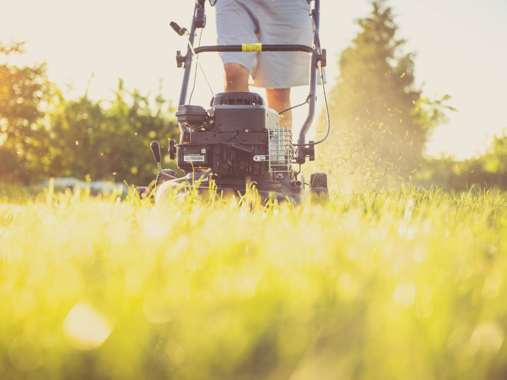 End-of-Summer Home Maintenance Tips for Renters