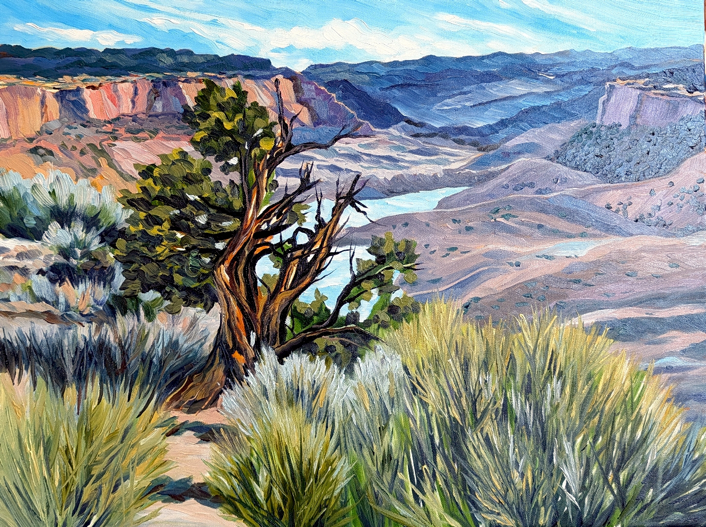 Colorado Canyon Cedar