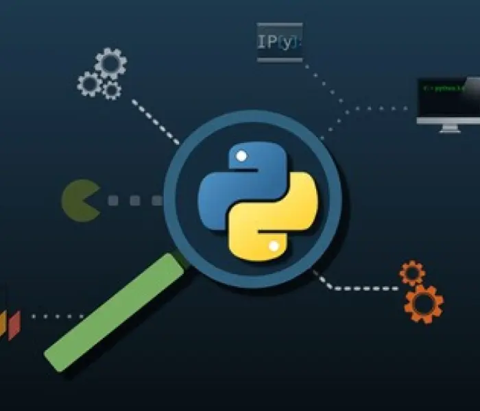 The Varied Applications of Python in the Real World