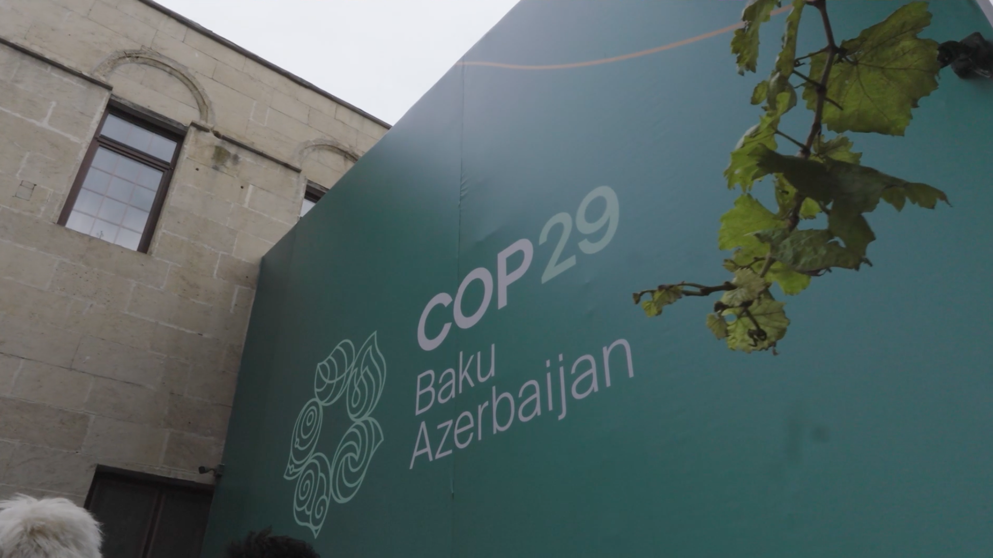 COP29 2024