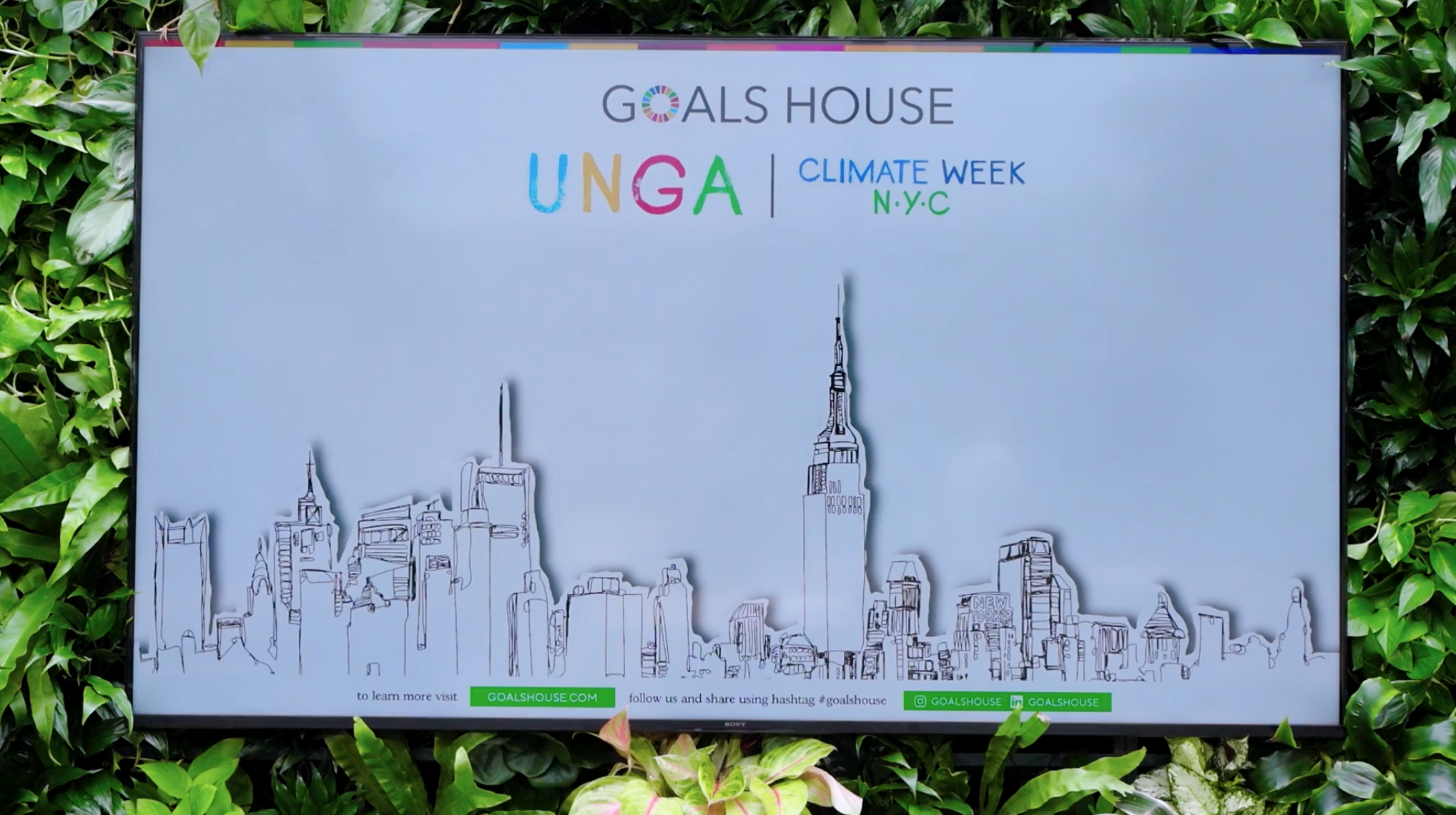 UNGA 2024
