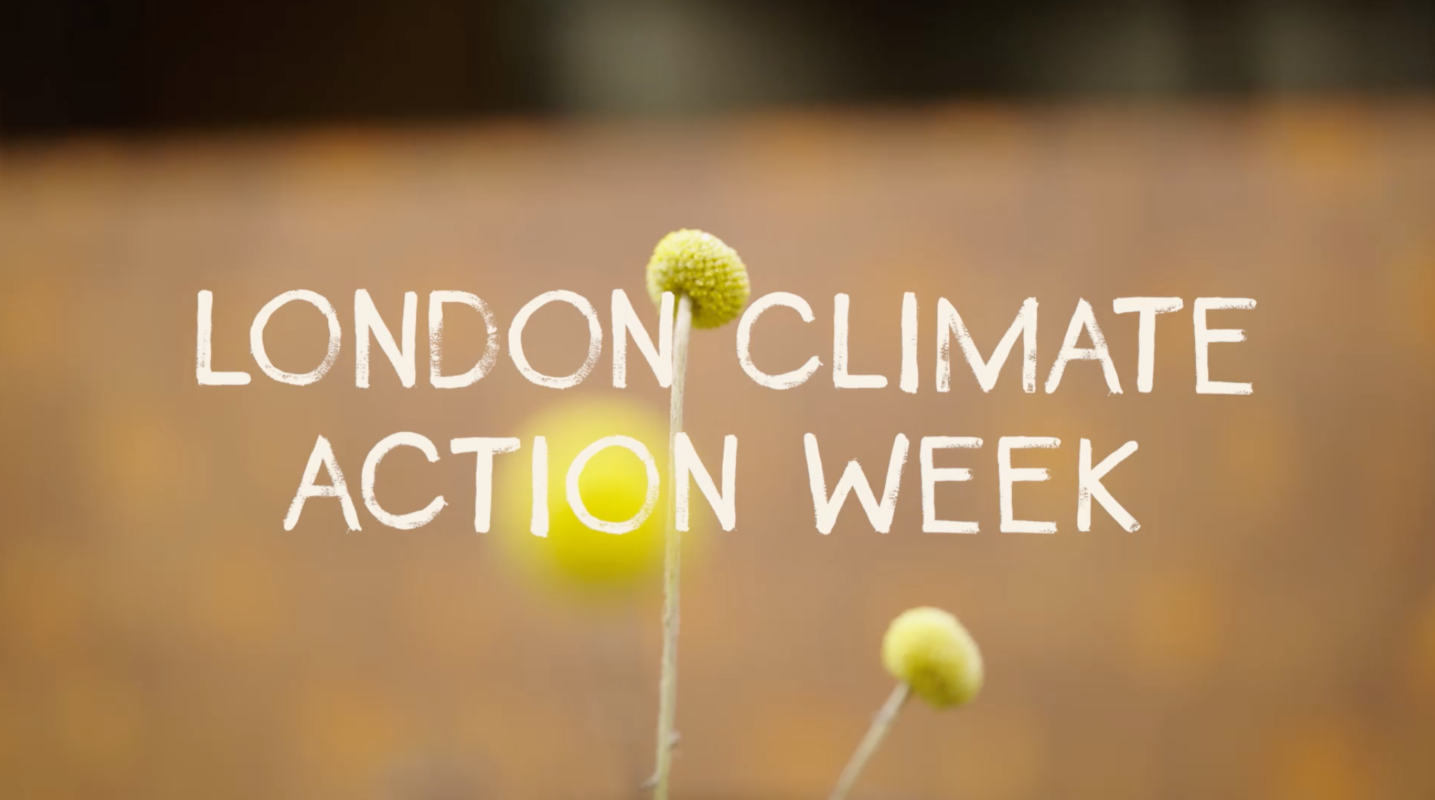 London Climate Action Week 2025