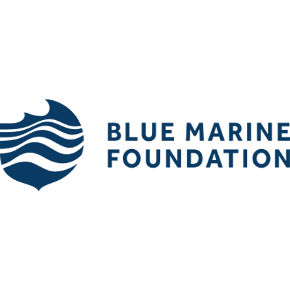 Blue Marine Foundation