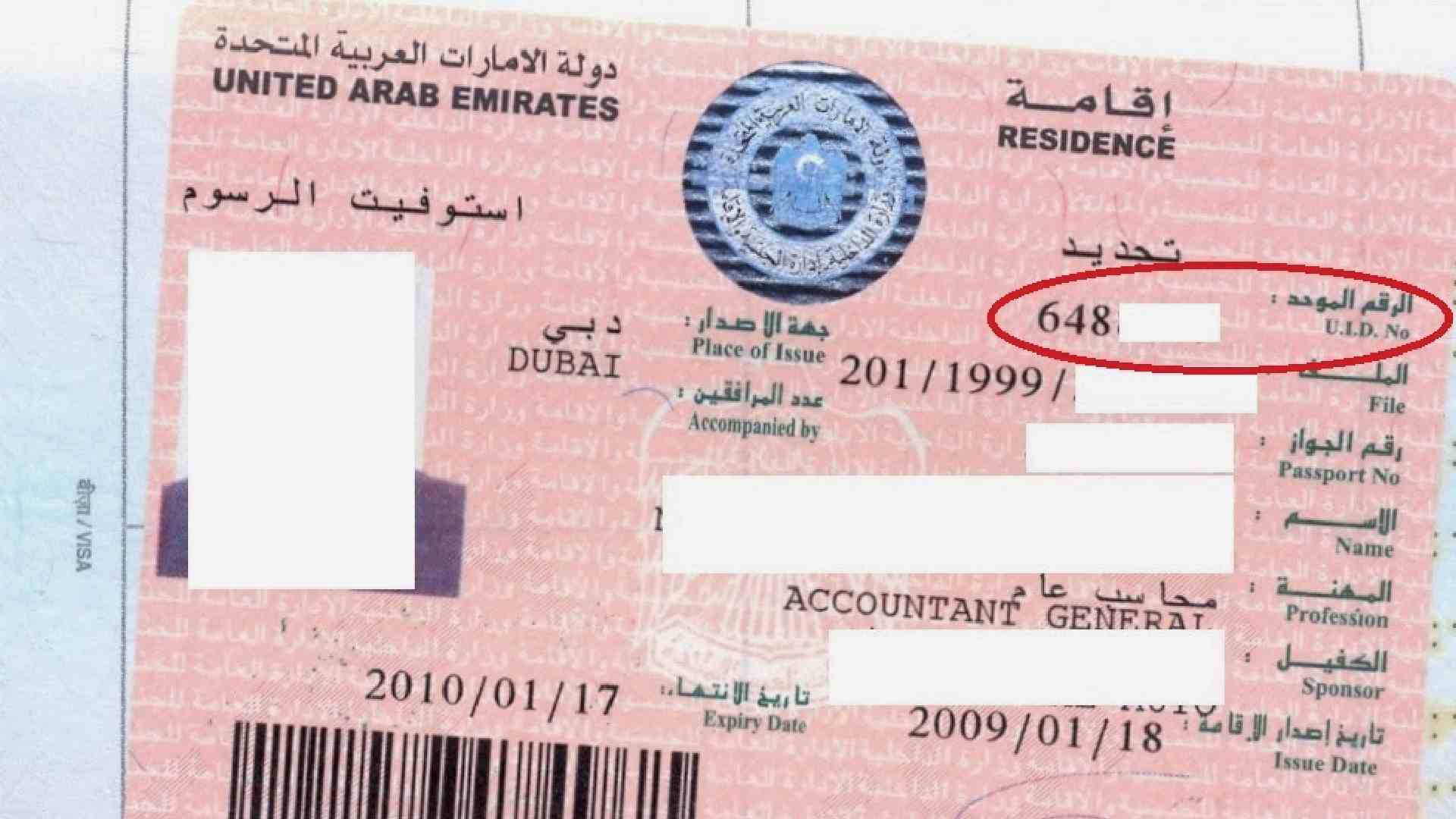 Understanding the Unified Number in the UAE