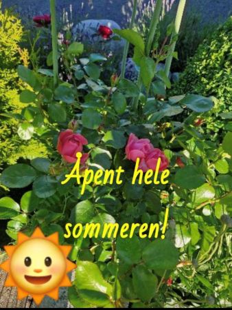 Vi har åpent i hele sommer!