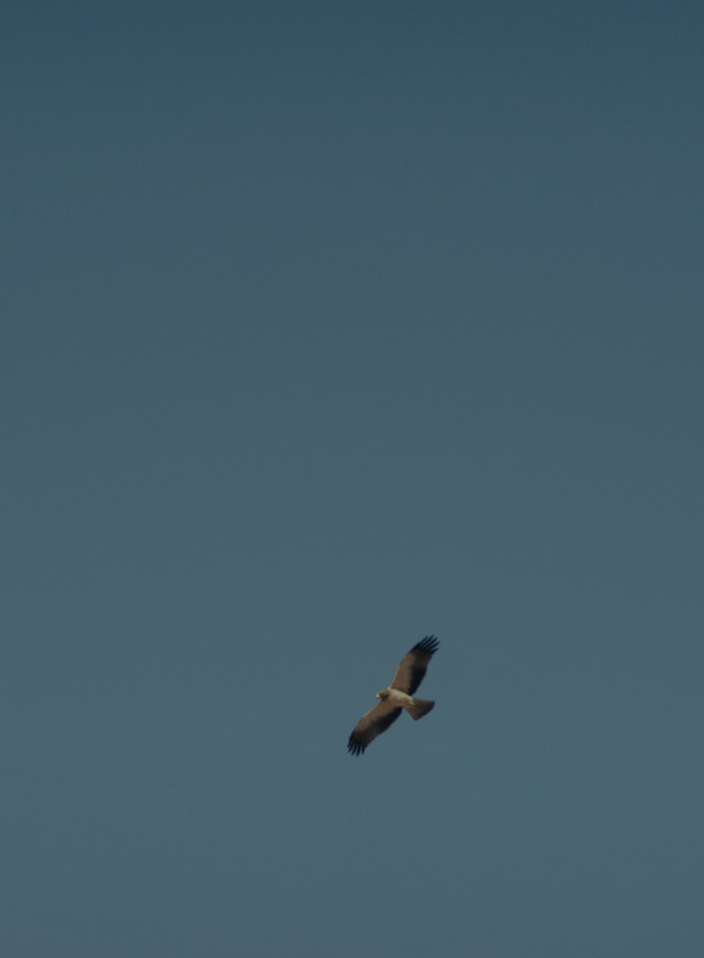 HEROES Jeroen Kaatee