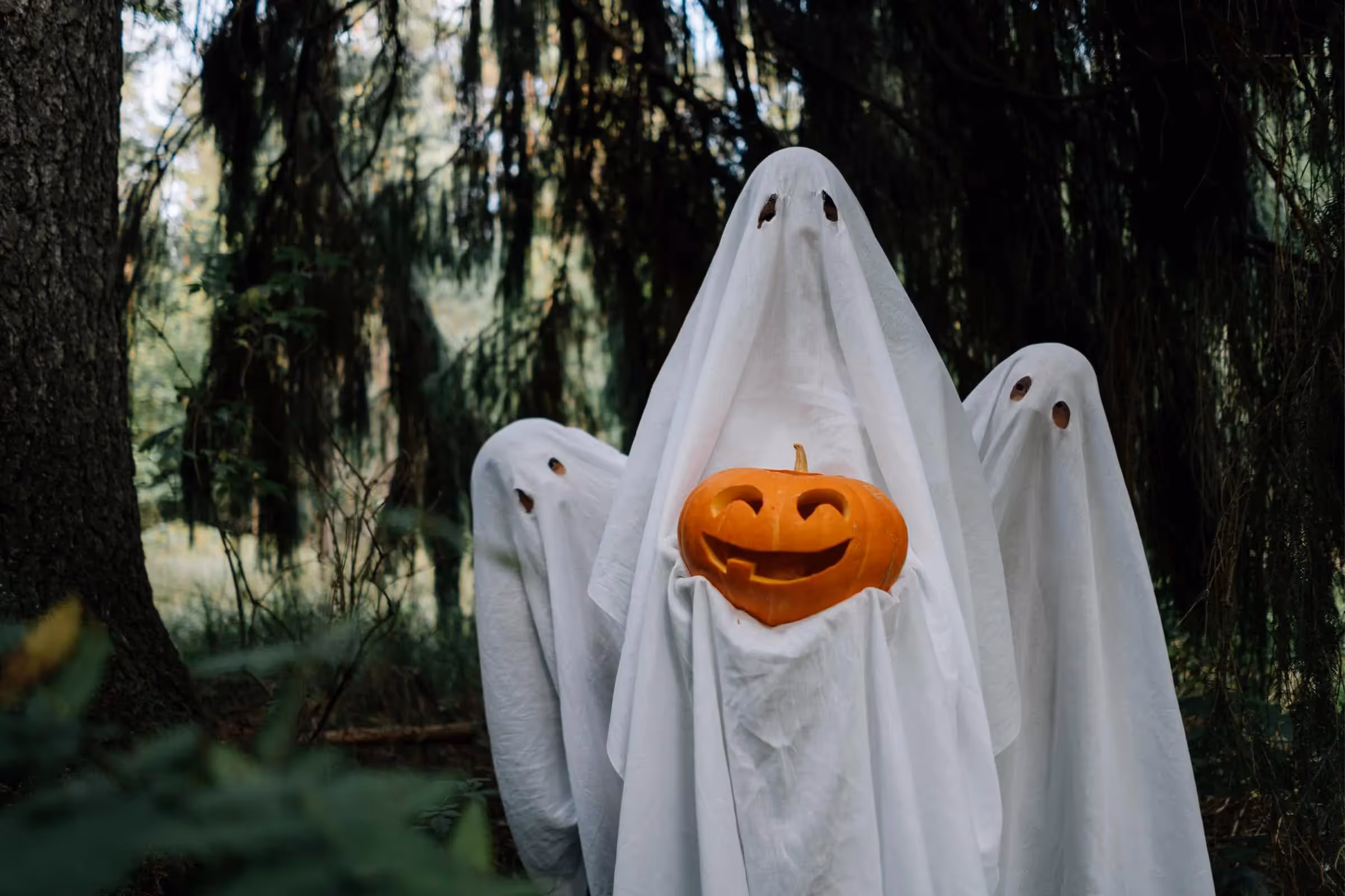 Halloween Special: what’s up with ghosting?