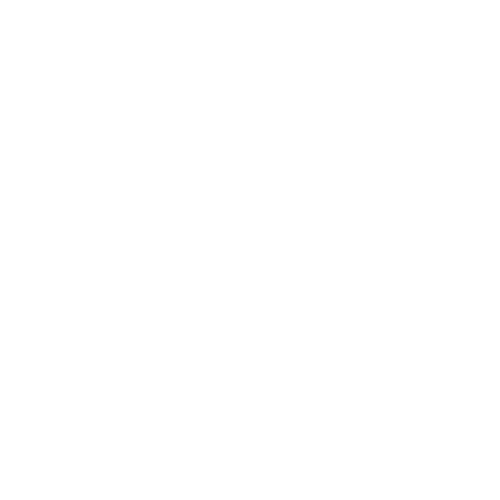 Logo Aegerter