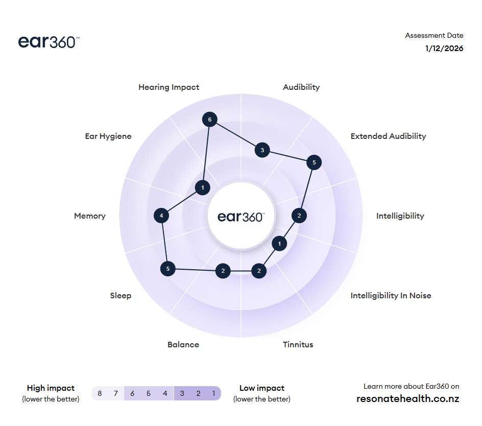 An example of part of an ear360 report showing category scores. Full details from the report will be provided during the assessment and can be access after the appointment via an online portal.