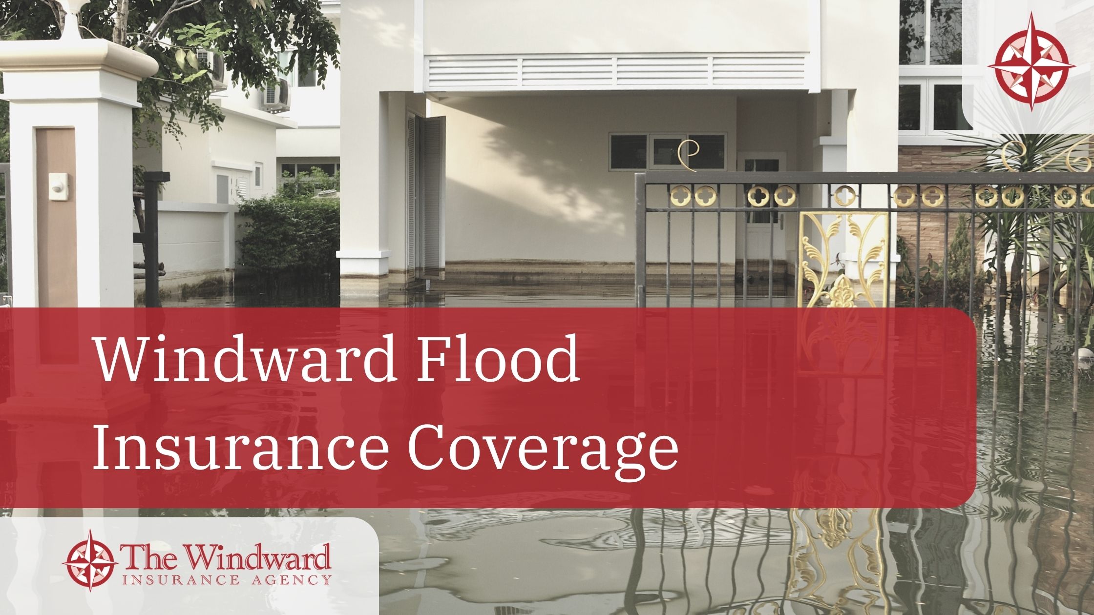 What is Flood Insurance?