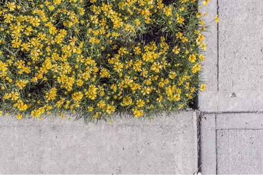 Blog post thumbnail: Email Marketing Beyond Traditional - Creative email marketing strategies and channels