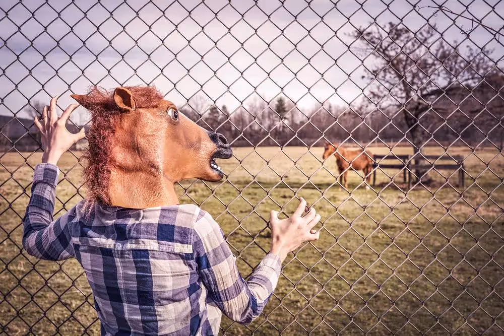 Featured image for Email Reputation Issues - Email authentication and deliverability best practices