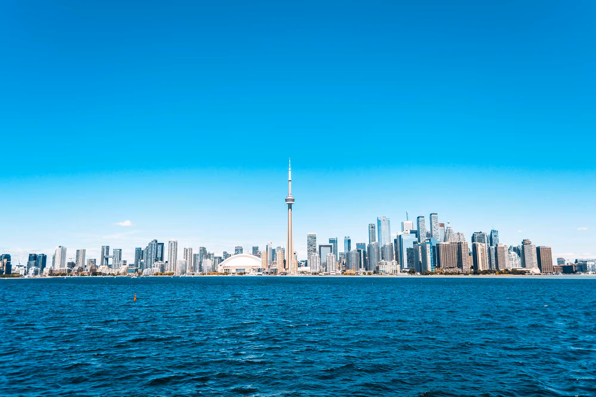 StackAdapt case study header image - Urban cityscape representing programmatic advertising technology