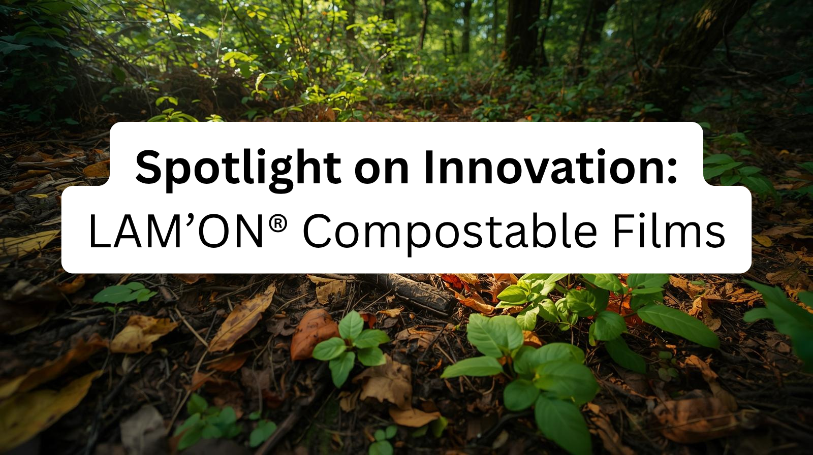 Spotlight on Innovation: LAM’ON® Compostable Films