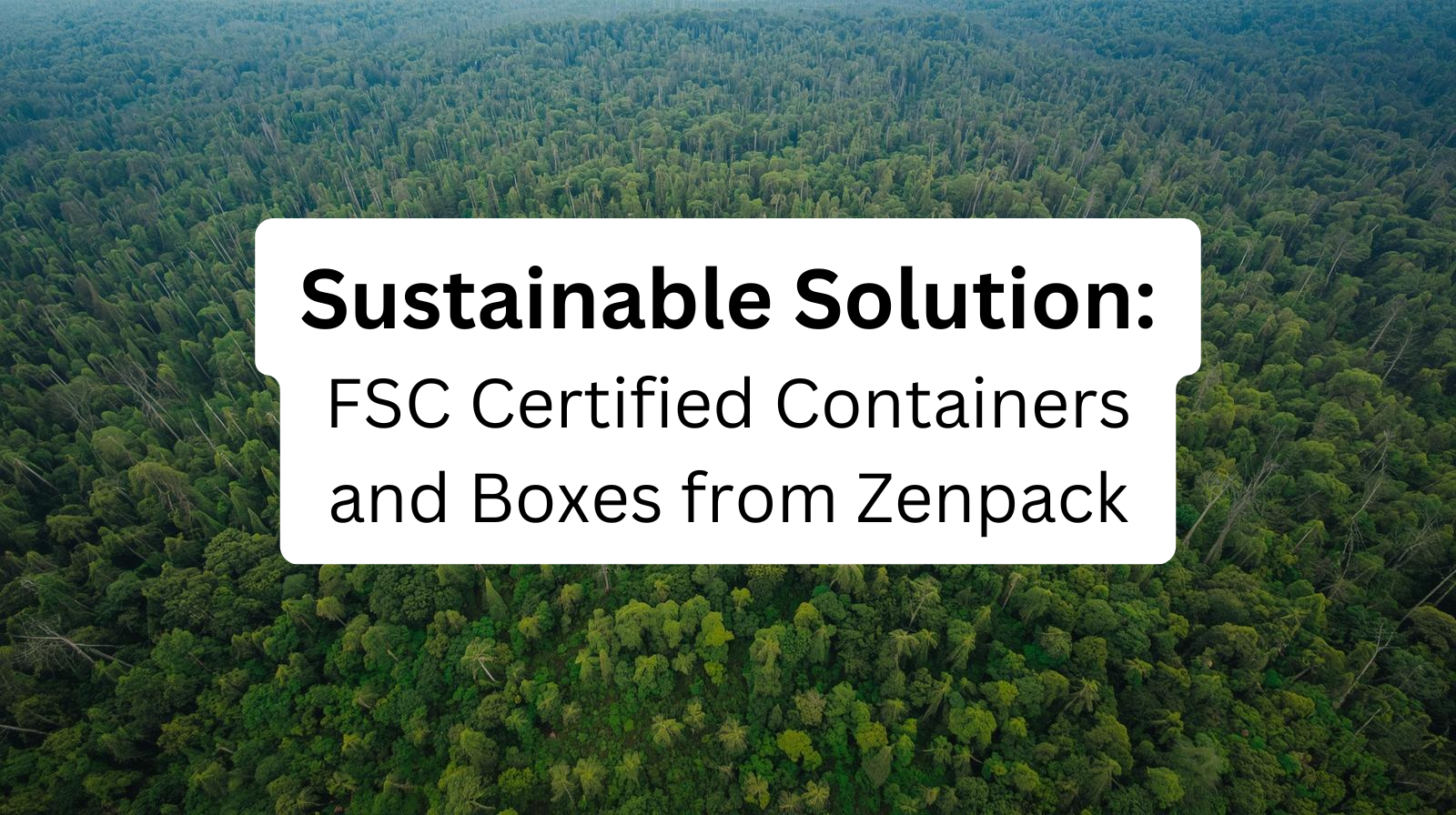 Discovering Sustainable Solutions: FSC Certified Containers and Boxes from Zenpack