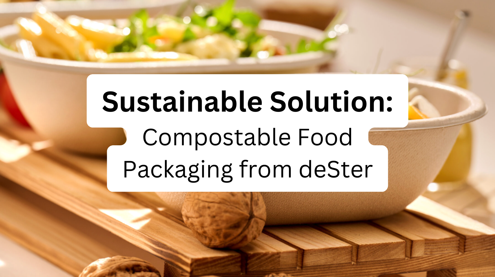 Discovering Sustainable Solutions: Compostable Food Packaging from deSter