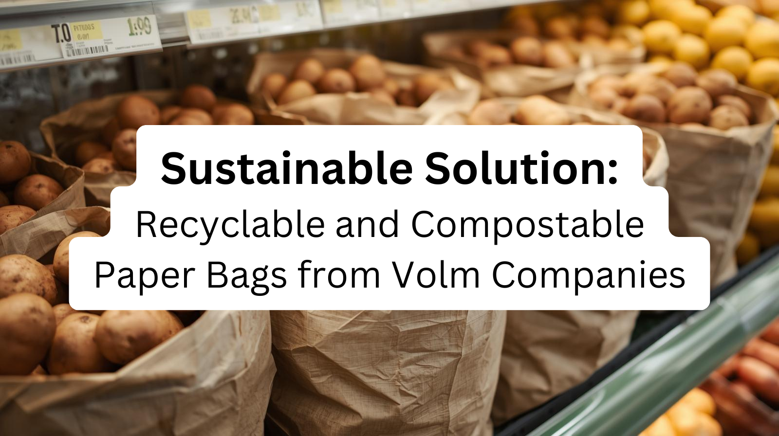 Discover Sustainable Solutions: Recyclable and Compostable Paper Bags from Volm Companies