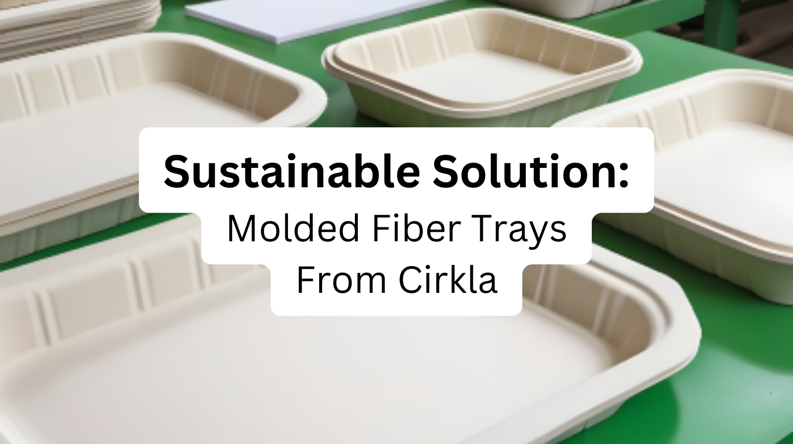 Discover Sustainable Solutions: Recyclable Fiber Meat Trays from Cirkla